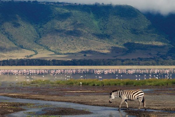 Ngorongoro2